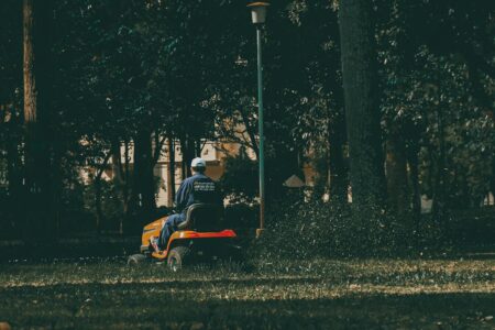 Ratschläge für Arbeiten im Garten