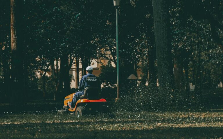 Ratschläge für Arbeiten im Garten